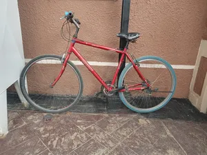 Sport Bicycle