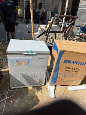 SKYRUN 145L Freezer for Home and Shop