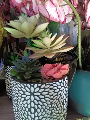 Quality Flower