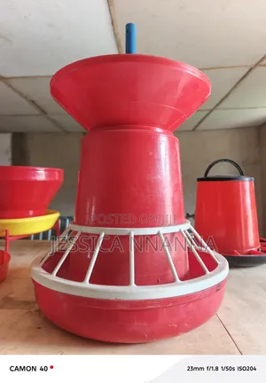 Indian Chicken Feeder