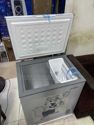 Skyrun BD 180A Inverter Deep Freezer for Home Food Supplies