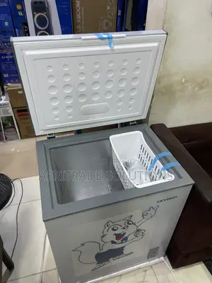 Skyrun BD 180A Inverter Deep Freezer for Home Food Supplies