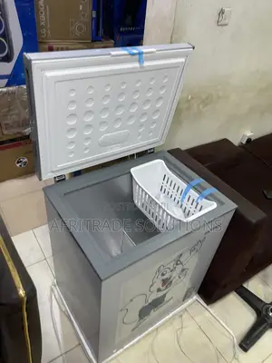 Skyrun BD 180A 145L Inverter Freezer for Busy Households