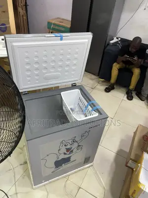 Skyrun Inverter Chest Freezer BD 180A for Modern Nigerian Homes