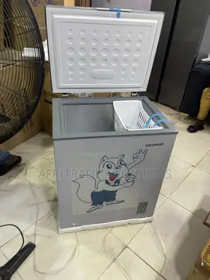Practical Food Freezing With Skyrun 145L Inverter Chest Freezer