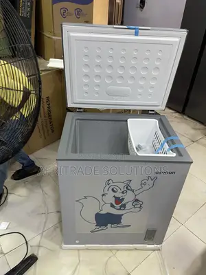 Practical Food Freezing With Skyrun 145L Inverter Chest Freezer