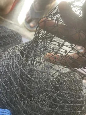 Fusing Net to Cover Ur Pound