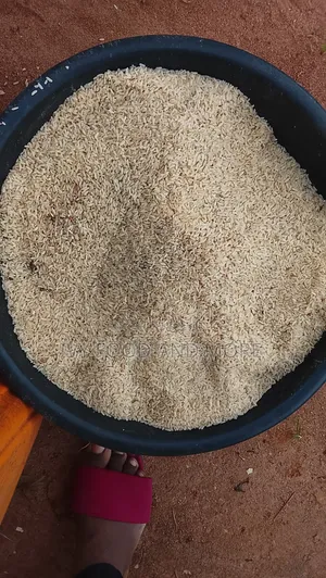 Local Rice