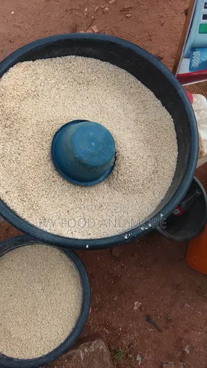 Local Rice