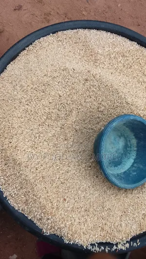 Local Rice
