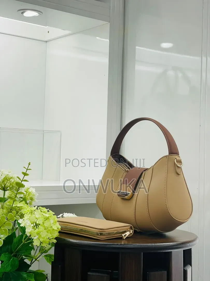 Ladies Handbag