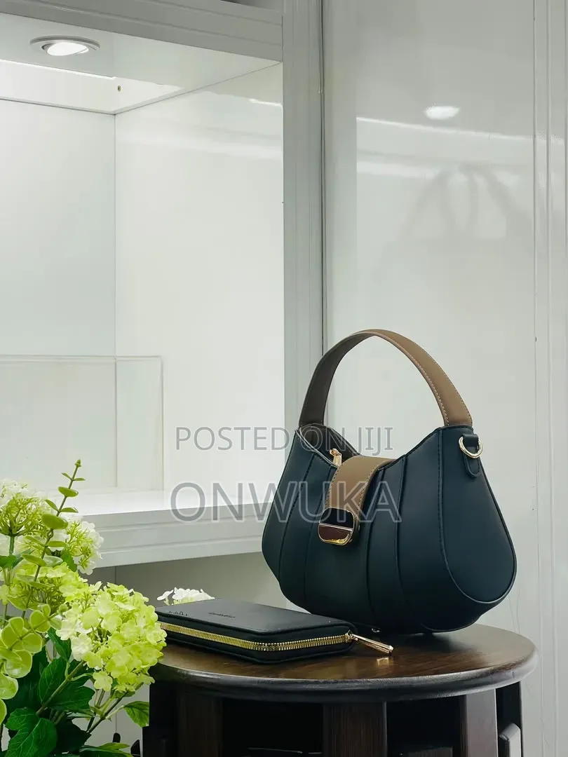 Ladies Handbag