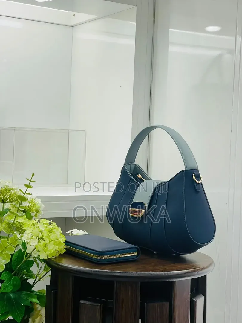 Ladies Handbag
