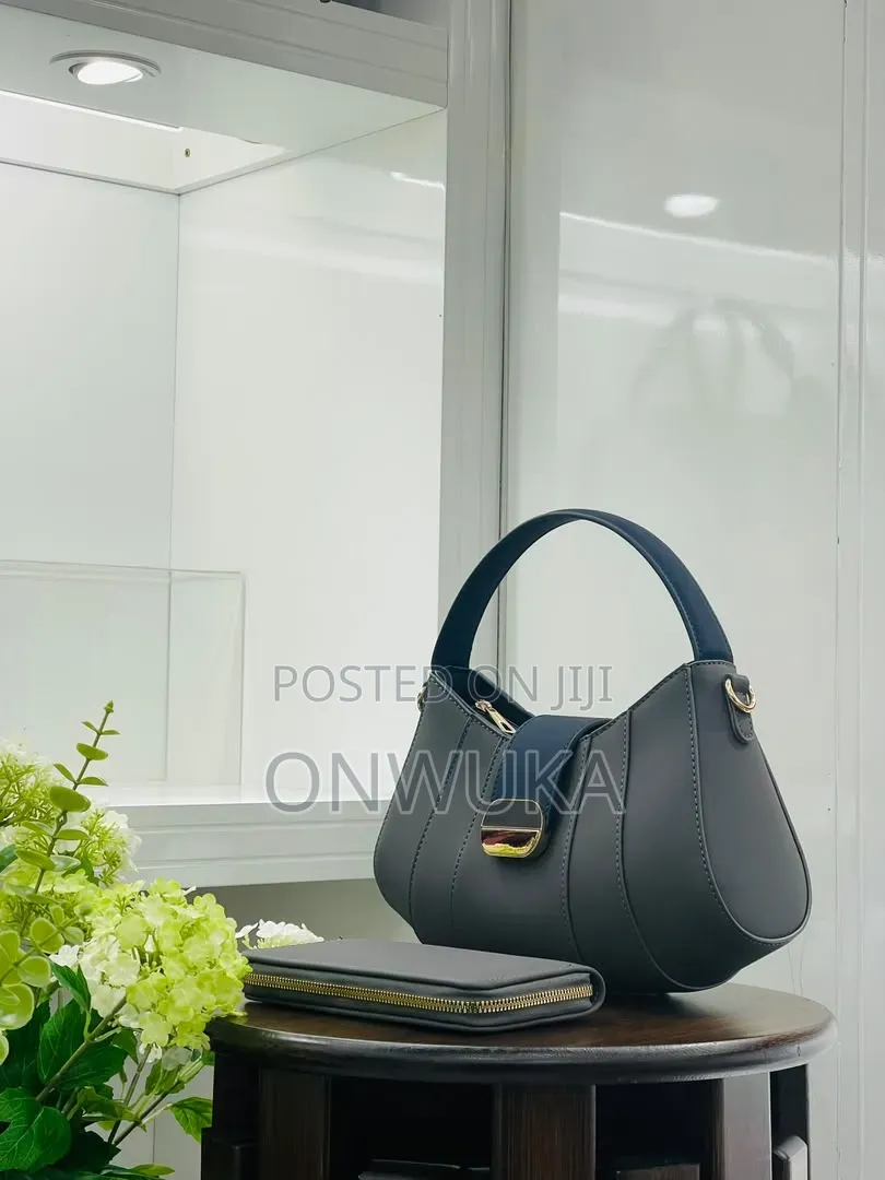 Ladies Handbag