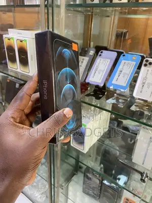 New Apple iPhone 12 Pro Max 256 GB Blue