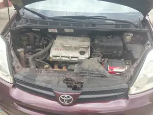 Toyota Sienna XLE AWD 2006 Brown