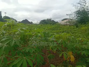 6600 Sq.Meters Land for Sale in Uyo - Strategic Location -