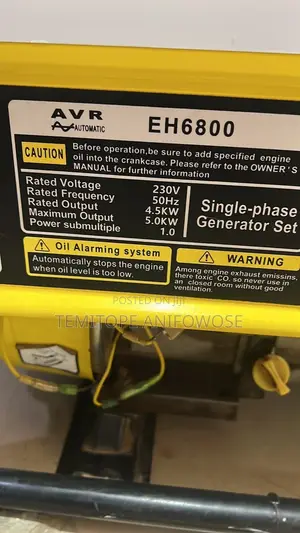EH6800 Elepaq Generator