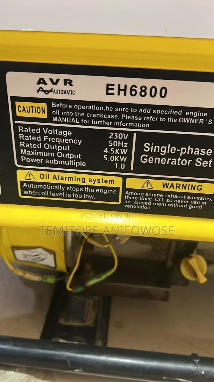 EH6800 Elepaq Generator