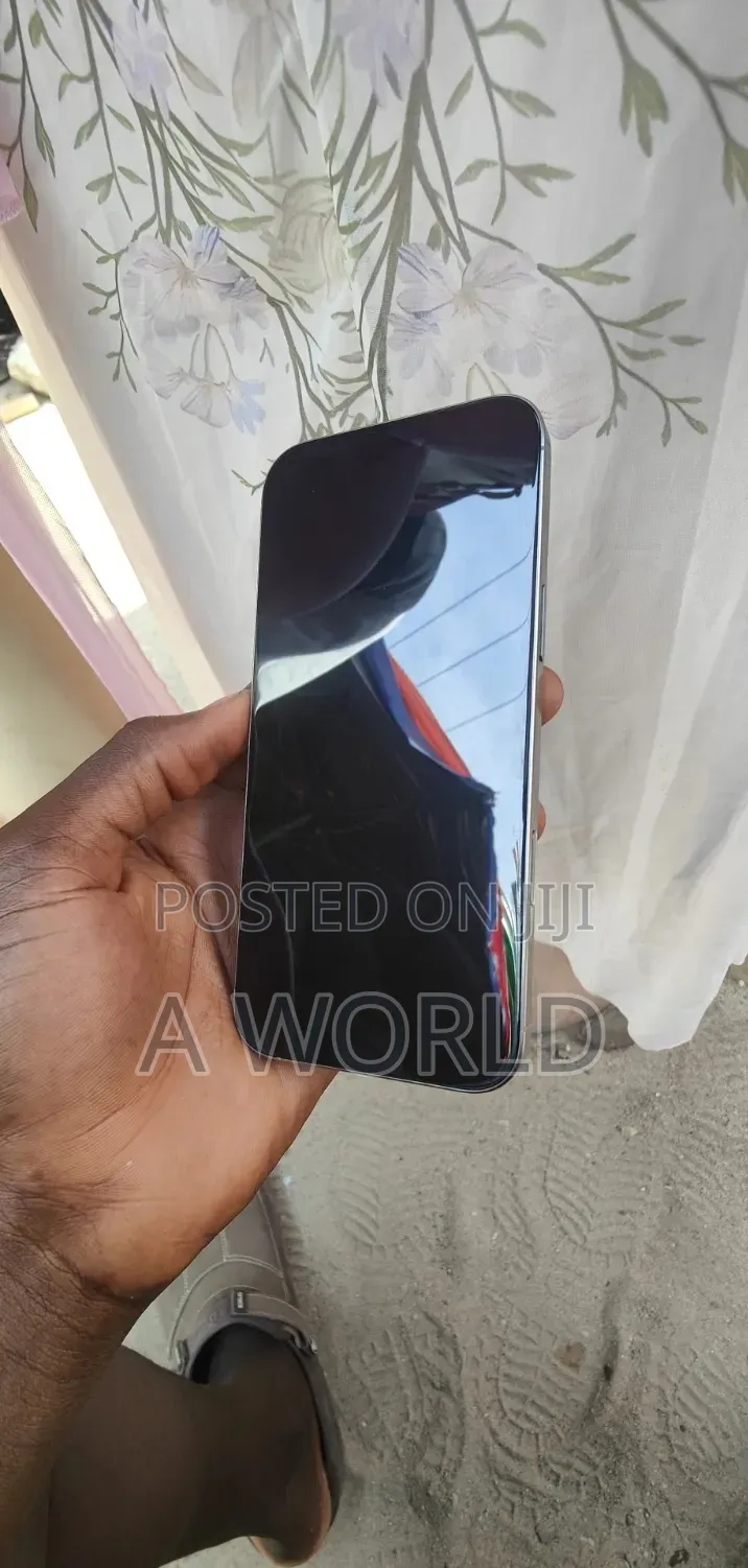 Apple iPhone 16 Pro Max 256 GB Silver