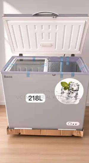 Solar Bona Freezer 218L