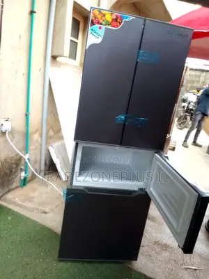 Beautiful Skyrun 300L Refrigerator for Your Home