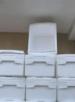 Styrofoam Coolers Gifts Boxes/Cartons