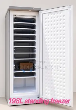 Solar Bona Ice Block Freezer 198L