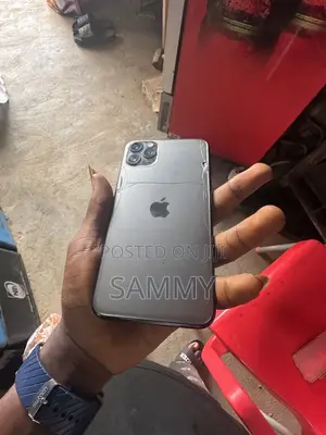 Apple iPhone 11 Pro Max 64 GB Gray