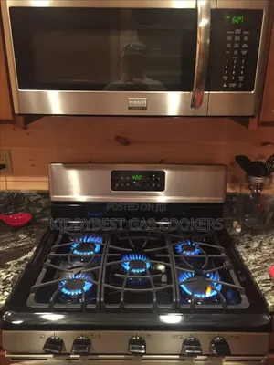 Gas Cooker Professional