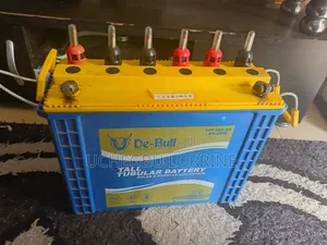Inverter Battery