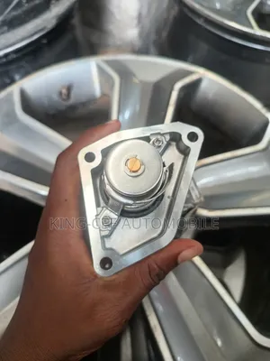 Thermostat Nissan Pathfinder 2015