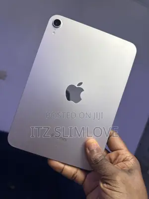 Apple iPad mini (2024) 128 GB Gray