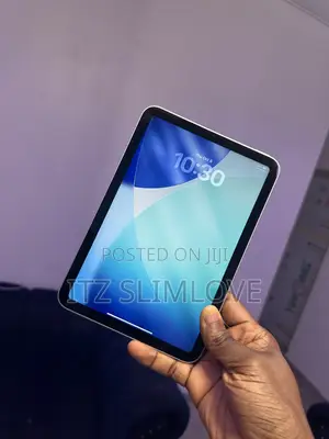 Apple iPad mini (2024) 128 GB Gray