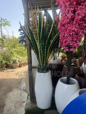 Luxury Artificial Plants & Designer Vases – Elegant Home Decoration
