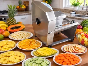 Slicer -2in1 Electric and Manual Operations