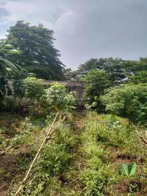 8 & Half Plot of Land