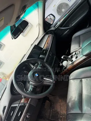 BMW X5 xDrive30i AWD (3.0L 6cyl 6A) 2010 Gray