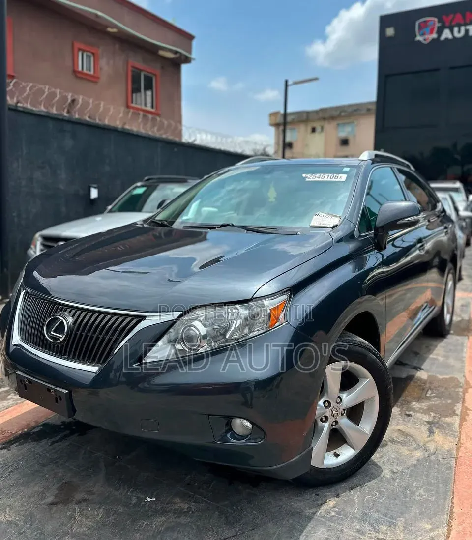 Lexus RX 2010 Gray