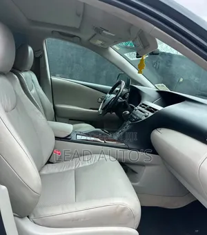 Lexus RX 2010 Gray