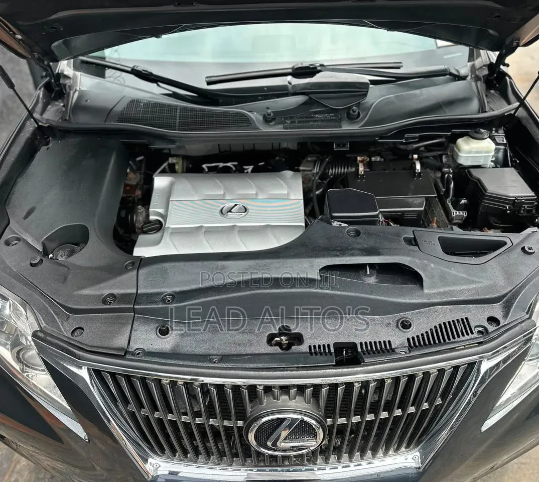 Lexus RX 2010 Gray