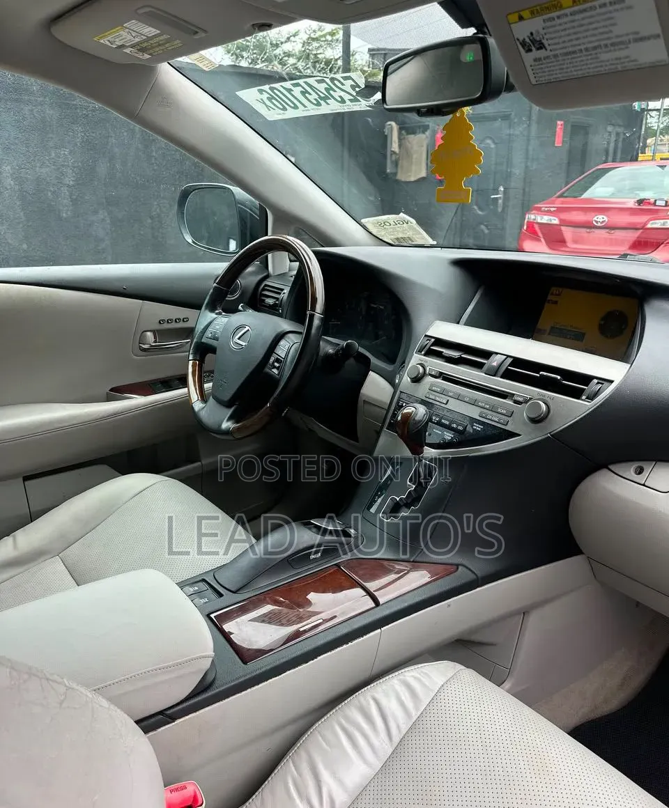 Lexus RX 2010 Gray