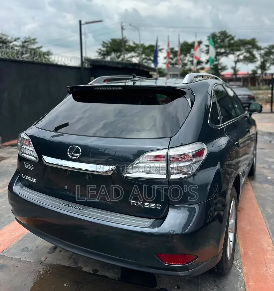 Lexus RX 2010 Gray