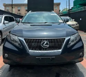 Lexus RX 2010 Gray