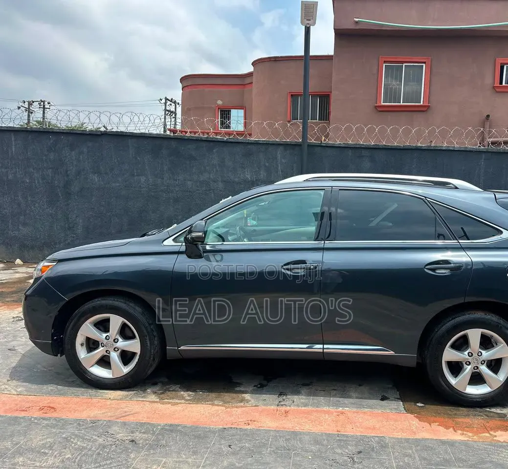 Lexus RX 2010 Gray