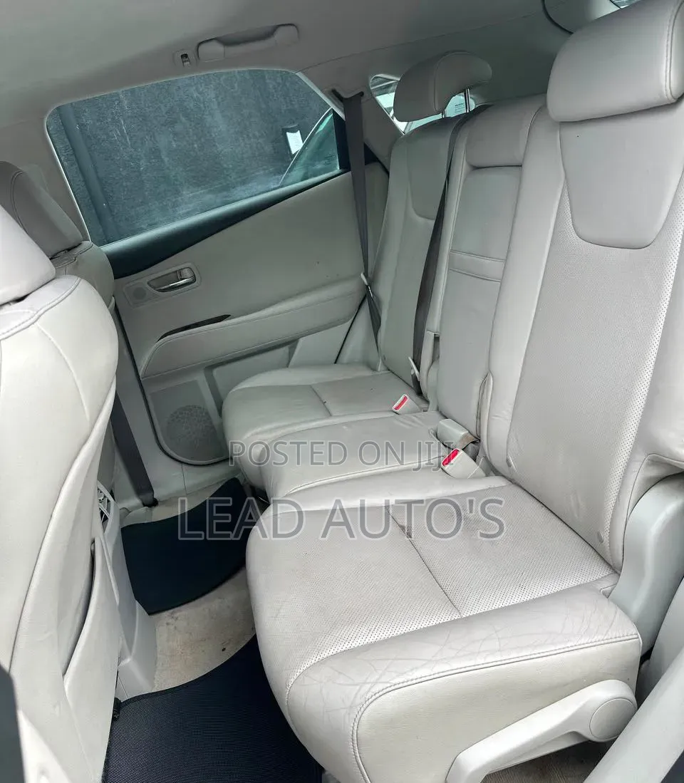 Lexus RX 2010 Gray