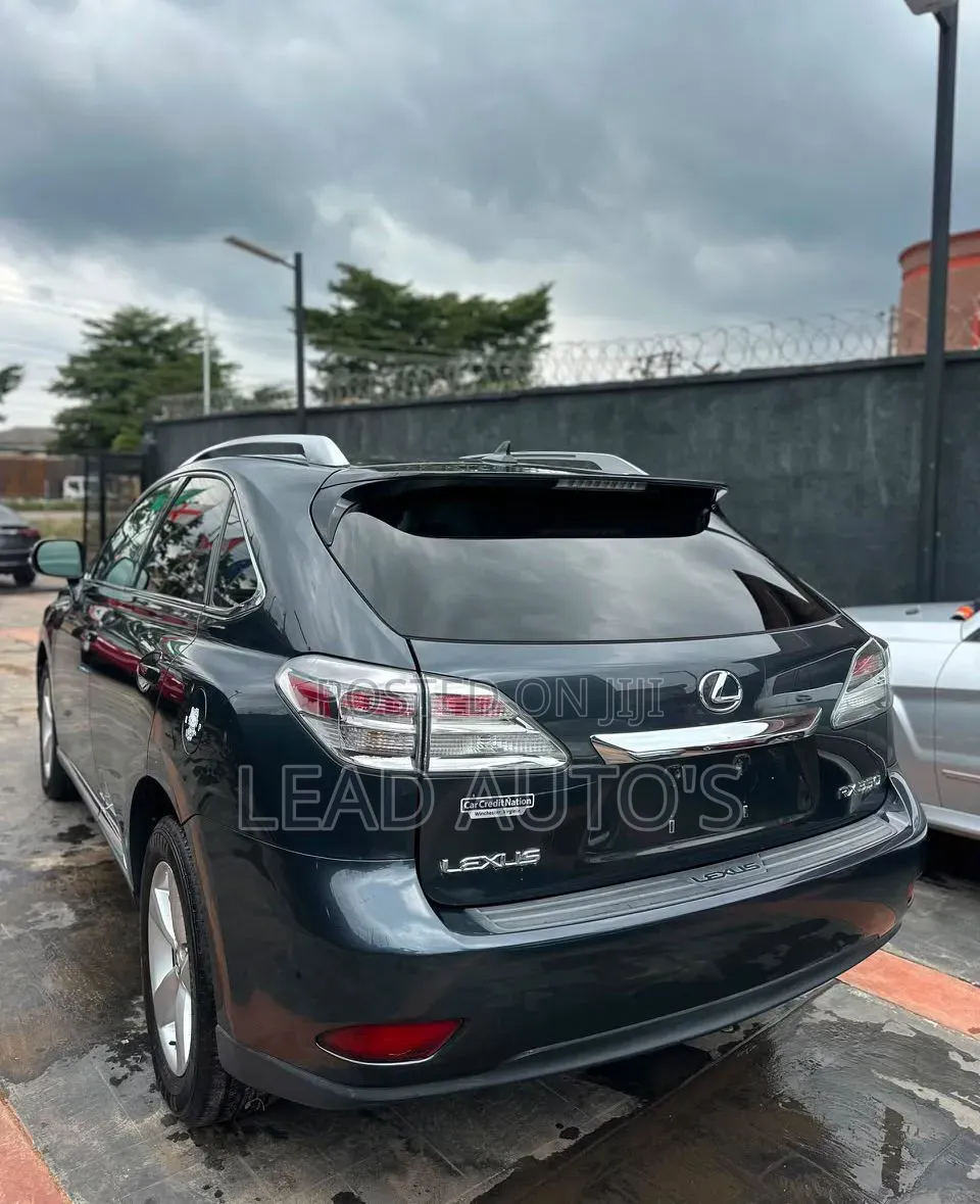 Lexus RX 2010 Gray