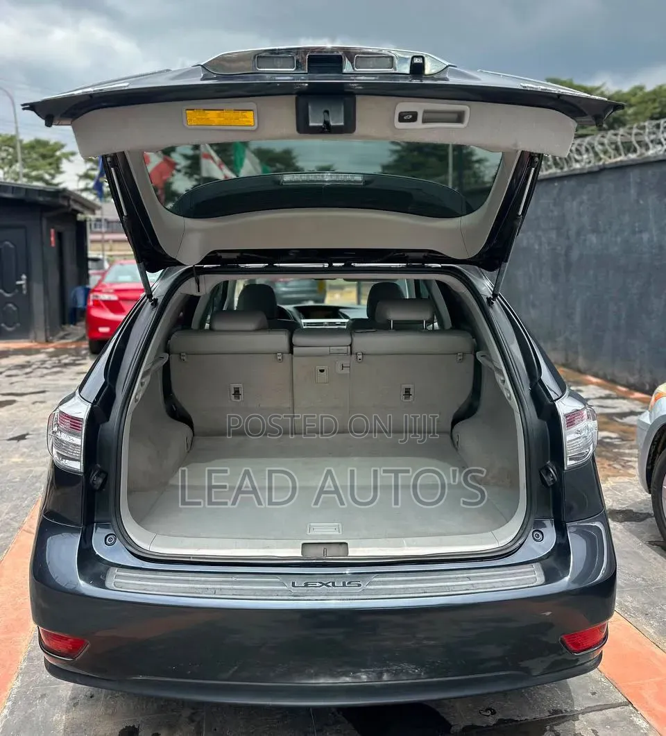 Lexus RX 2010 Gray
