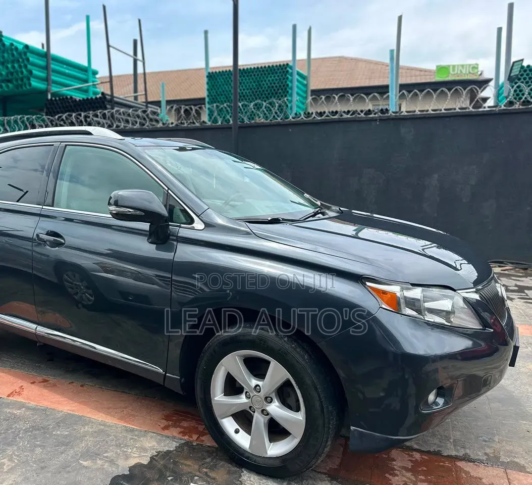 Lexus RX 2010 Gray
