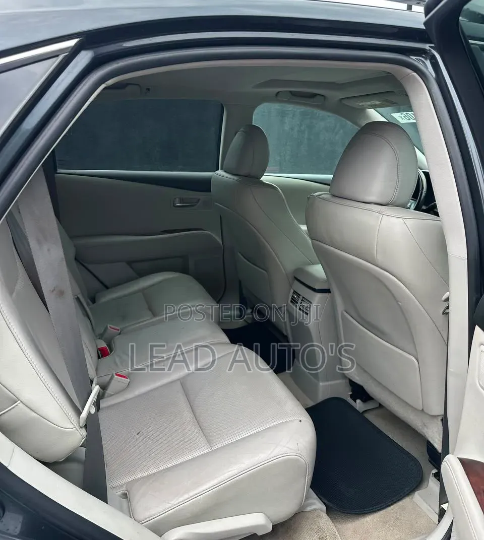 Lexus RX 2010 Gray